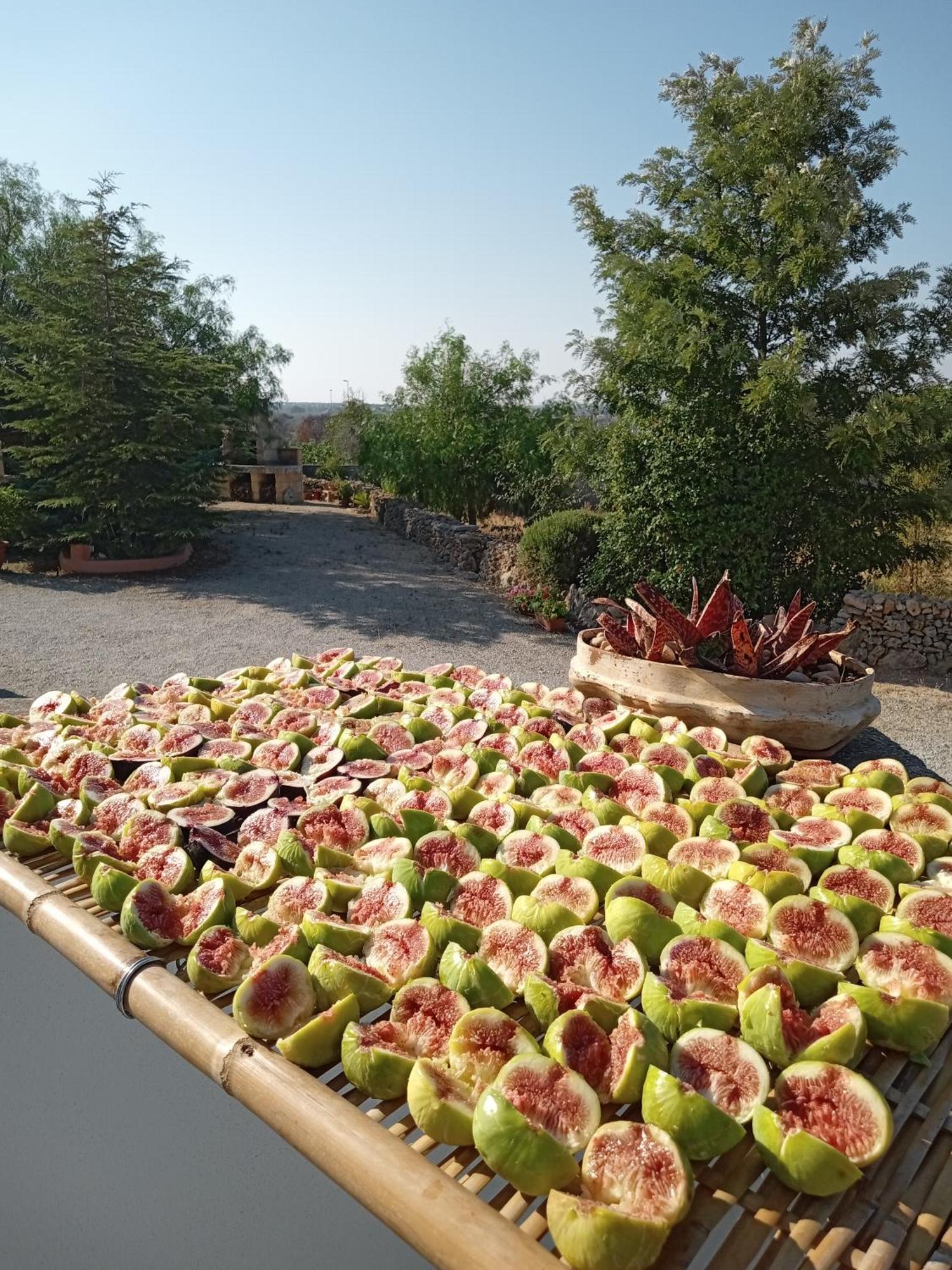 Bed and Breakfast Oniro Specchia Exterior foto
