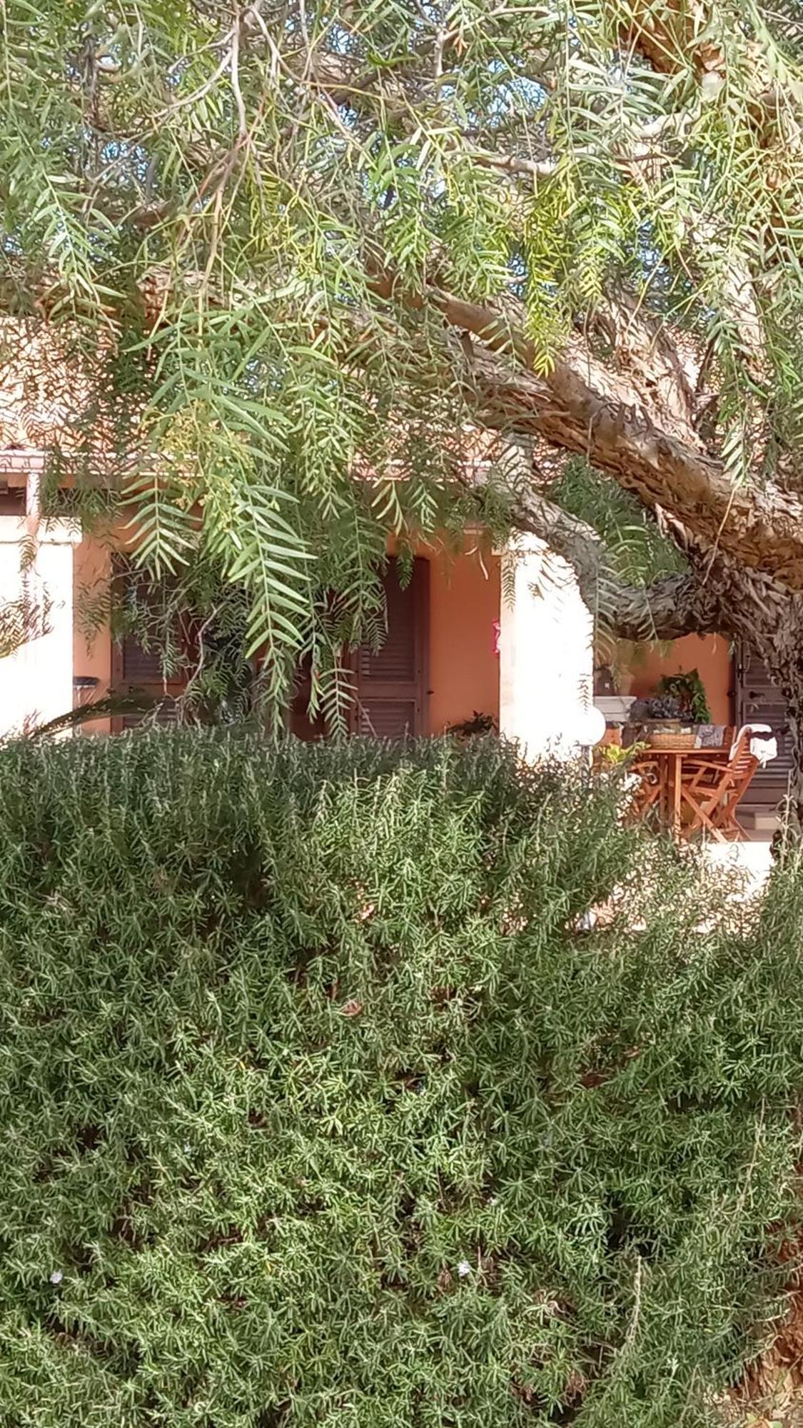 Bed and Breakfast Oniro Specchia Exterior foto